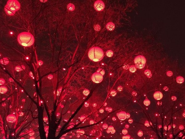 陜西鑫安安防祝您和家人：元宵節(jié)快樂(lè)，月圓人圓家更圓