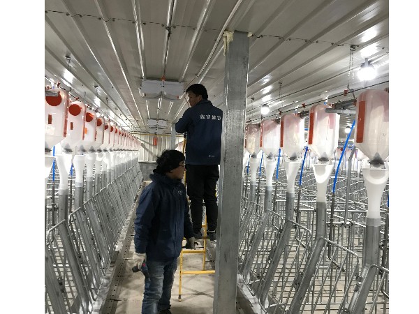 養(yǎng)豬場視頻監(jiān)控系統(tǒng)安裝，從布線到安裝需要的就是嚴謹